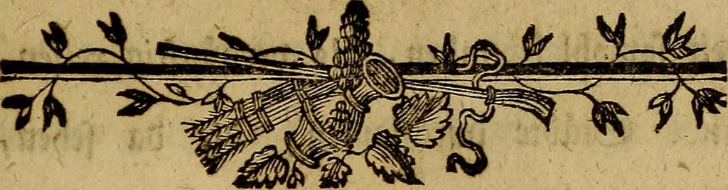 An illustration from Beschreibung der vornehmsten Merkwürdigkeiten in des H.R. Reichs freyen Stadt Nürnberg und auf der hohen Schule zu Altdorf : nebst einem chronologischen Verzeichnisse der von deutschen, insonderheit Nürnbergern, erfundenen Künste, vom XIII Jahrhunderte bis auf jetzige Zeiten, 1778, leaf 10
