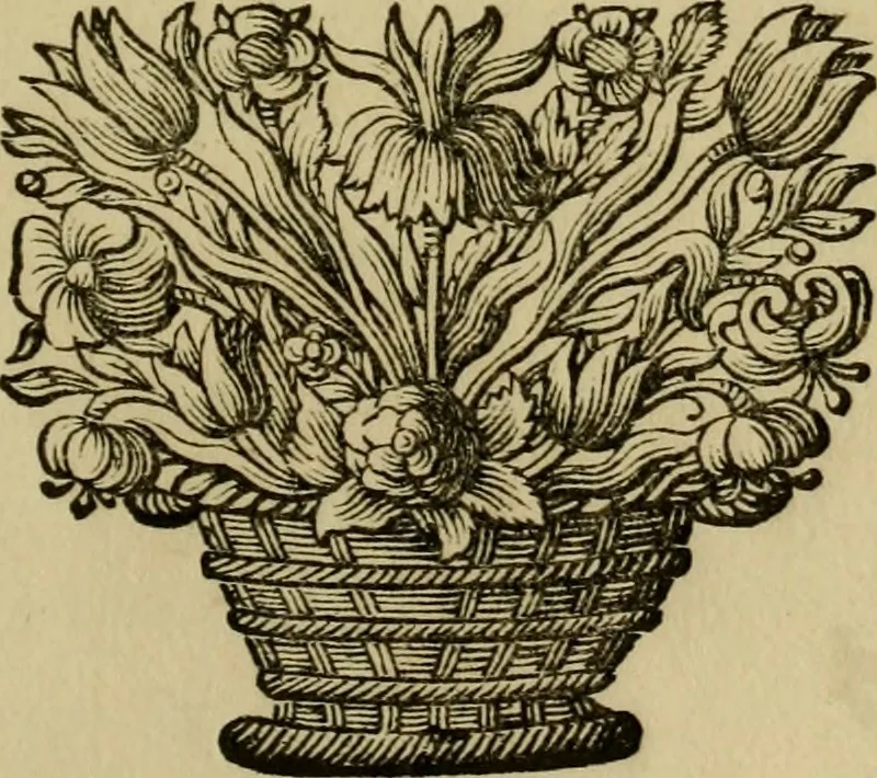 An illustration from Beschreibung des fürtreflichen Gemähld- und Bilder-Schatzes, welcher in denen hochgräflichen Schlössern und Gebäuen deren Reichs-Grafen von Schönborn, Bucheim, Wolfstahl &c., sowohl in dem Heil. Röm. Reich, als in dem Ertz-Hertzogthum Oesterreich zu ersehen und zu finden : samt einer Beschreibung deren Sachen und Authoren, wie auch einem treu-gehorsamsten Neu-Jahrs-Wunsch : nebst anderen verschiedenen Teutschen und Lateinischen Lob-Reimen historicè, genealogicè, & heraldicè verfasset, und durch besonderen Fleiss eingetheilet zu ehren und ewigen Nach-Ruhm des Hochgräfl. Hauses von Schönborn, Bucheim, Wolfsthal, &c., 1746, leaf 108