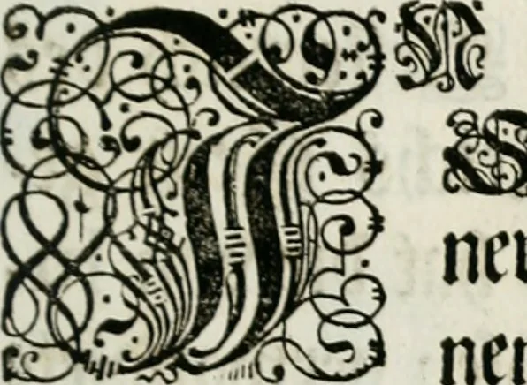 An illustration from Beschreibung des Haubt- und Frey-Schiessen, : welches von Ihro Kayser- und Königl. Catholischen Majestät Carolo Sexto, wegen erfreulichster Geburt, Leopoldi, dero Erst-Gebohrnen Ertz-Hertzogens zu Oesterreich, und Printzens von Asturien, der Wiennerischen Burgerschafft gegenem worden, 1716, leaf 24