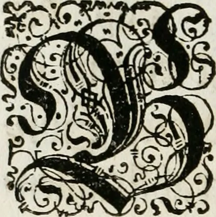 An illustration from Beschreibung des Haubt- und Frey-Schiessen, : welches von Ihro Kayser- und Königl. Catholischen Majestät Carolo Sexto, wegen erfreulichster Geburt, Leopoldi, dero Erst-Gebohrnen Ertz-Hertzogens zu Oesterreich, und Printzens von Asturien, der Wiennerischen Burgerschafft gegenem worden, 1716, leaf 25