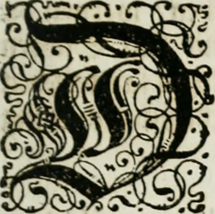 An illustration from Beschreibung des Haubt- und Frey-Schiessen, : welches von Ihro Kayser- und Königl. Catholischen Majestät Carolo Sexto, wegen erfreulichster Geburt, Leopoldi, dero Erst-Gebohrnen Ertz-Hertzogens zu Oesterreich, und Printzens von Asturien, der Wiennerischen Burgerschafft gegenem worden, 1716, leaf 30
