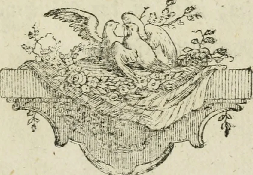 An illustration from Beschreibung des Hochfürstlichen Schlosses Esterháss im Königreiche Ungern, 1784, leaf 54