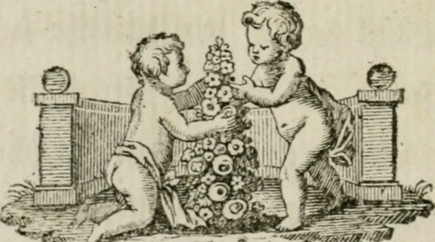 An illustration from Beschreibung des Hochfürstlichen Schlosses Esterháss im Königreiche Ungern, 1784, leaf 9