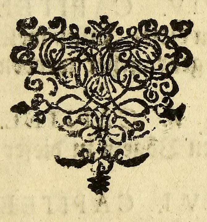 An illustration from Beschreibung von Tabago: einer Insul von denen Antilles, oder Caribischen Eylanden in America., 1684, leaf 115