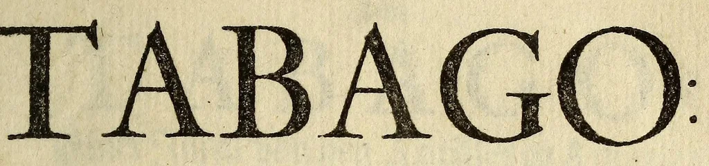 An illustration from Beschreibung von Tabago: einer Insul von denen Antilles, oder Caribischen Eylanden in America., 1684, leaf 7