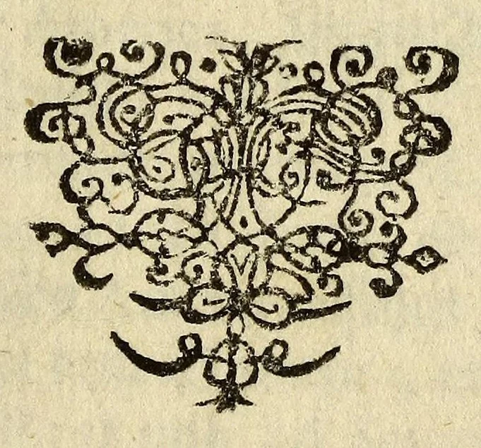 An illustration from Beschreibung von Tabago: einer Insul von denen Antilles, oder Caribischen Eylanden in America., 1684, leaf 7