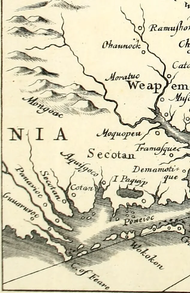 An illustration from Beschrijvinghe van Virginia, Nieuw Nederlandt, Nieuw Engelandt, en d'eylanden Bermudes, Berbados, en S. Christoffel. Dienstelijck voor elck een derwaerts handelende, en alle voort-planters van nieuw colonien, 1651, leaf 12