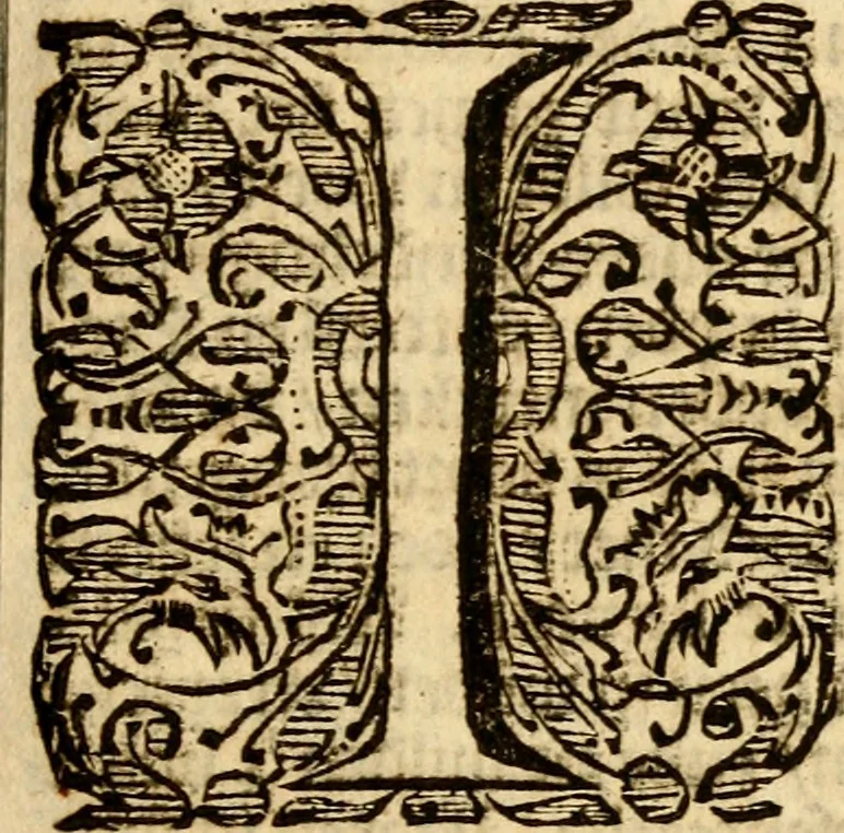 An illustration from Beschrijvinghe van Virginia, Nieuw Nederlandt, Nieuw Engelandt, en d'eylanden Bermudes, Berbados, en S. Christoffel. Dienstelijck voor elck een derwaerts handelende, en alle voort-planters van nieuw colonien, 1651, leaf 14