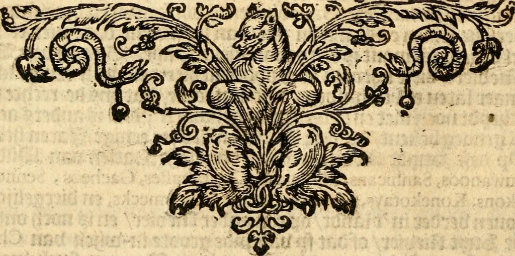 An illustration from Beschrijvinghe van Virginia, Nieuw Nederlandt, Nieuw Engelandt, en d'eylanden Bermudes, Berbados, en S. Christoffel. Dienstelijck voor elck een derwaerts handelende, en alle voort-planters van nieuw colonien, 1651, leaf 35