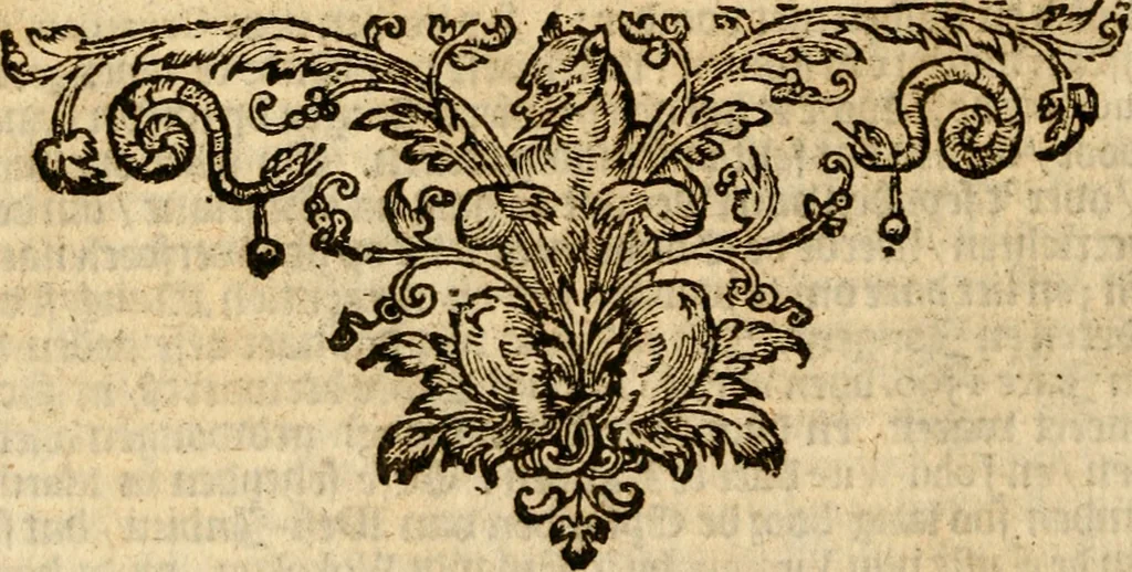 An illustration from Beschrijvinghe van Virginia, Nieuw Nederlandt, Nieuw Engelandt, en d'eylanden Bermudes, Berbados, en S. Christoffel. Dienstelijck voor elck een derwaerts handelende, en alle voort-planters van nieuw colonien, 1651, leaf 87
