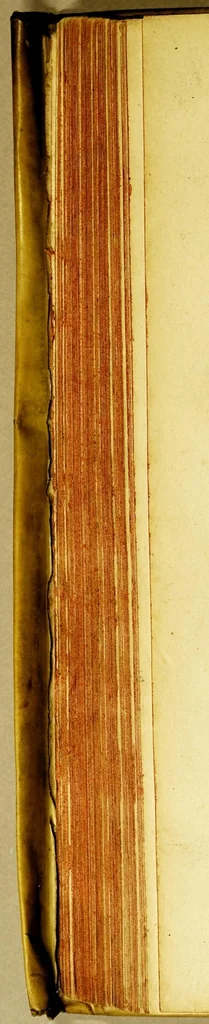 An illustration from Beschrijvinghe van West-Indien, 1630, leaf 240