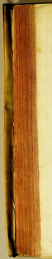 An illustration from Beschrijvinghe van West-Indien, 1630, leaf 422