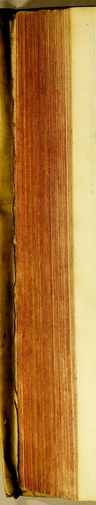 An illustration from Beschrijvinghe van West-Indien, 1630, leaf 522