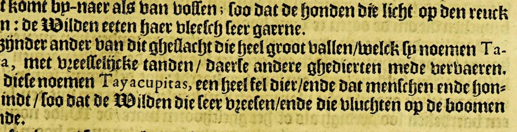 An illustration from Beschrijvinghe van West-Indien, 1630, leaf 585