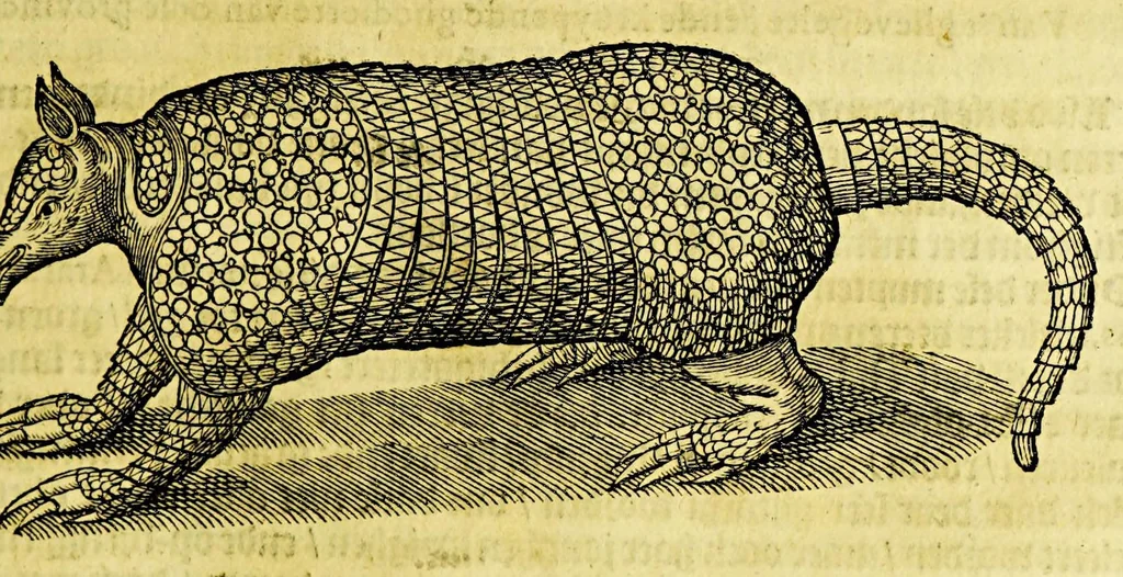 An illustration from Beschrijvinghe van West-Indien, 1630, leaf 585