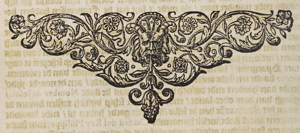 An illustration from Beschrijvinghe van West-Indien, 1630, leaf 530