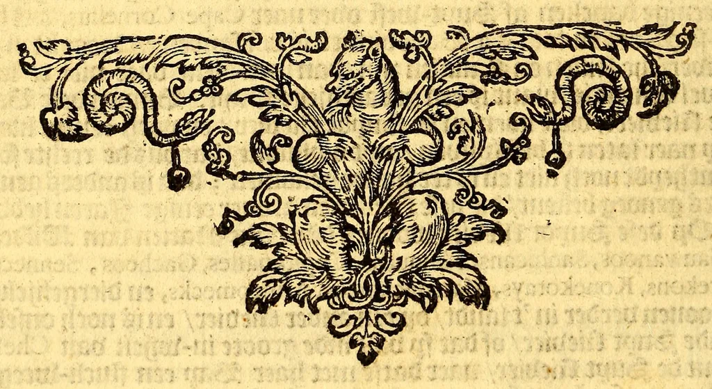 An illustration from Beschrijvinghe van Virginia, Nieuw Nederlandt, Nieuw Engelandt, en d'Eylanden Bermudes, Berbados, en S. Christoffel. : Dienstelijck voor elck een derwaerts handelende, en alle voort-planters van nieuw colonien. Met kopere figuren verciert, 1651, leaf 30