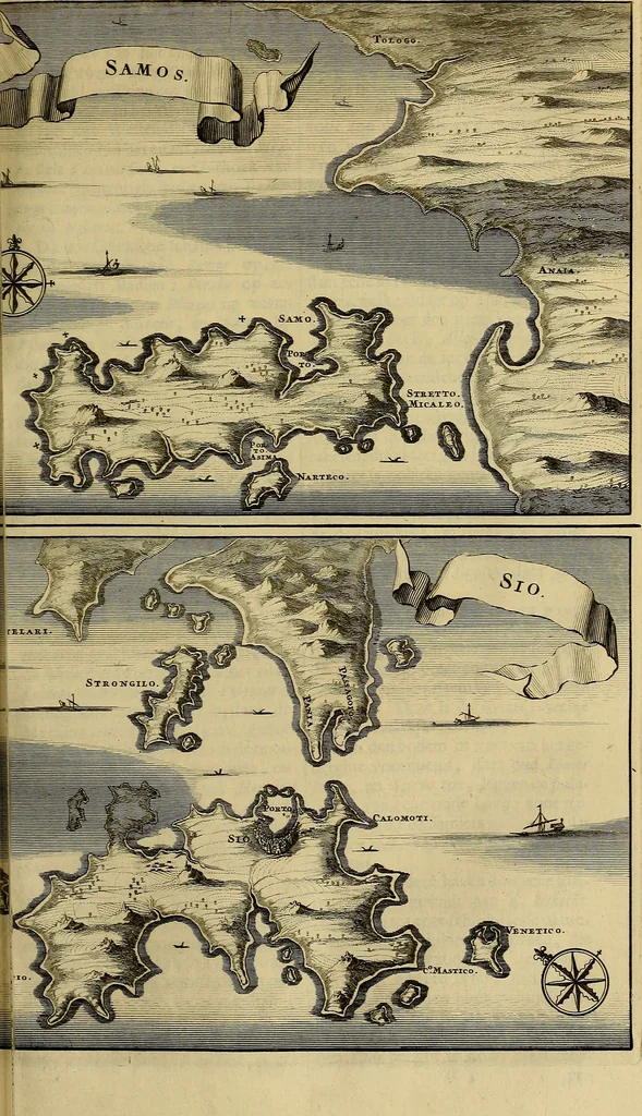 An illustration from Naukeurige beschryving der eilanden, in de archipel der Middelantsche zee, en ontrent dezelve, gelegen : waer onder de voornaemste Cyprus, Rhodus, Kandien, Samos, Scio, Negroponte, Lemnos, Paros, Delos, Patmos, en andere in groten getale, behelzende der zelver benamingen, gelegentheden, steden, kastelen, gedenkwaerdige aeloude en hedendaeghse geschiedenissen, bestieringen, veroveringen, gewassen, dieren, &c. : verrijkt met zee- en eilant-kaerten, en afbeeldingen van steden, dieren, gewassen &c., 1688, leaf 246