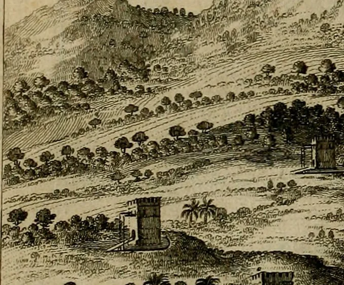 An illustration from Naukeurige beschryving der eilanden, in de archipel der Middelantsche zee, en ontrent dezelve, gelegen : waer onder de voornaemste Cyprus, Rhodus, Kandien, Samos, Scio, Negroponte, Lemnos, Paros, Delos, Patmos, en andere in groten getale, behelzende der zelver benamingen, gelegentheden, steden, kastelen, gedenkwaerdige aeloude en hedendaeghse geschiedenissen, bestieringen, veroveringen, gewassen, dieren, &c. : verrijkt met zee- en eilant-kaerten, en afbeeldingen van steden, dieren, gewassen &c., 1688, leaf 273