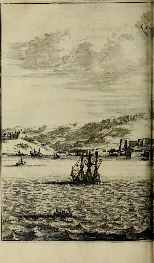 An illustration from Naukeurige beschryving der eilanden, in de archipel der Middelantsche zee, en ontrent dezelve, gelegen : waer onder de voornaemste Cyprus, Rhodus, Kandien, Samos, Scio, Negroponte, Lemnos, Paros, Delos, Patmos, en andere in groten getale, behelzende der zelver benamingen, gelegentheden, steden, kastelen, gedenkwaerdige aeloude en hedendaeghse geschiedenissen, bestieringen, veroveringen, gewassen, dieren, &c. : verrijkt met zee- en eilant-kaerten, en afbeeldingen van steden, dieren, gewassen &c., 1688, leaf 301