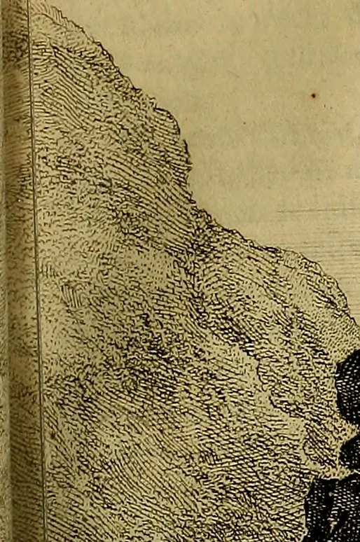 An illustration from Naukeurige beschryving der eilanden, in de archipel der Middelantsche zee, en ontrent dezelve, gelegen : waer onder de voornaemste Cyprus, Rhodus, Kandien, Samos, Scio, Negroponte, Lemnos, Paros, Delos, Patmos, en andere in groten getale, behelzende der zelver benamingen, gelegentheden, steden, kastelen, gedenkwaerdige aeloude en hedendaeghse geschiedenissen, bestieringen, veroveringen, gewassen, dieren, &c. : verrijkt met zee- en eilant-kaerten, en afbeeldingen van steden, dieren, gewassen &c., 1688, leaf 458
