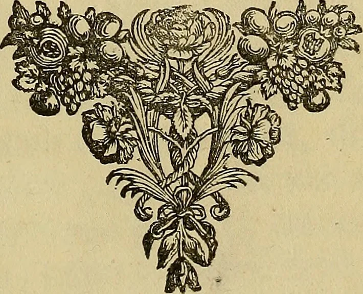 An illustration from Naukeurige beschryving der eilanden, in de archipel der Middelantsche zee, en ontrent dezelve, gelegen : waer onder de voornaemste Cyprus, Rhodus, Kandien, Samos, Scio, Negroponte, Lemnos, Paros, Delos, Patmos, en andere in groten getale, behelzende der zelver benamingen, gelegentheden, steden, kastelen, gedenkwaerdige aeloude en hedendaeghse geschiedenissen, bestieringen, veroveringen, gewassen, dieren, &c. : verrijkt met zee- en eilant-kaerten, en afbeeldingen van steden, dieren, gewassen &c., 1688, leaf 8