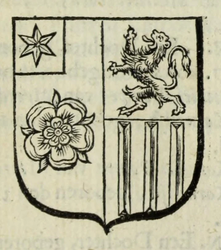 An illustration from Beschryvinge der stad Dordrecht : vervatende haar begin, opkomst, toeneming, en verdere stant ... Als mede een verzamelinge van eenige geslachtboomen, der adelijke, aal-oude, en aanzienlijke heeren-geslachten, van, en in, Dordrecht, enz. ..., 1677, leaf 523