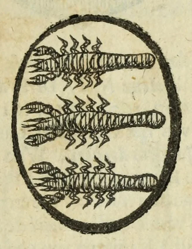 An illustration from Beschryvinge der stad Dordrecht : vervatende haar begin, opkomst, toeneming, en verdere stant ... Als mede een verzamelinge van eenige geslachtboomen, der adelijke, aal-oude, en aanzienlijke heeren-geslachten, van, en in, Dordrecht, enz. ..., 1677, leaf 619