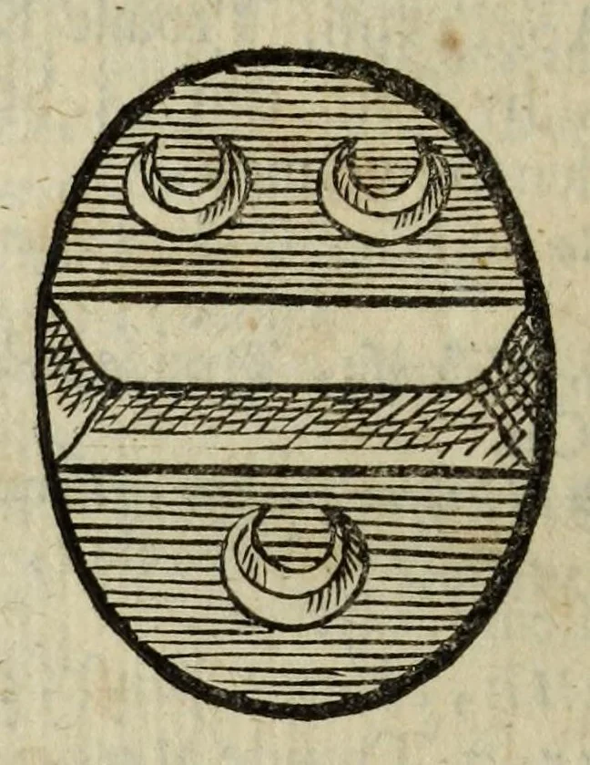 An illustration from Beschryvinge der stad Dordrecht : vervatende haar begin, opkomst, toeneming, en verdere stant ... Als mede een verzamelinge van eenige geslachtboomen, der adelijke, aal-oude, en aanzienlijke heeren-geslachten, van, en in, Dordrecht, enz. ..., 1677, leaf 648