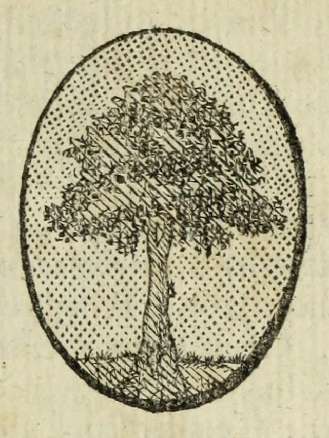 An illustration from Beschryvinge der stad Dordrecht : vervatende haar begin, opkomst, toeneming, en verdere stant ... Als mede een verzamelinge van eenige geslachtboomen, der adelijke, aal-oude, en aanzienlijke heeren-geslachten, van, en in, Dordrecht, enz. ..., 1677, leaf 673