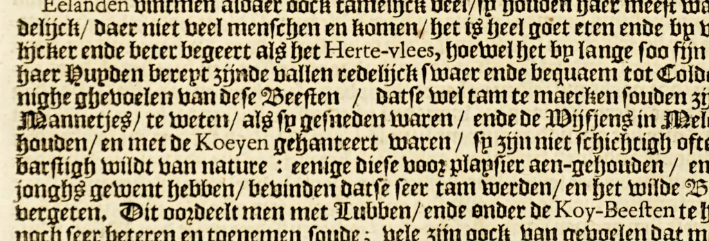 An illustration from Beschryvinge van Nieuvv-Nederlant, : (ghelijck het tegenwoordigh in staet is) begrijpende de nature, aert, gelegentheyt en vrucht-baerheyt van het selve lant; mitsgaders de proffijtelijcke ende gewenste toevallen, die aldaer tot onderhout der menschen, (soo uyt haer selven als van buyten ingebracht) gevonden worden. Als mede de maniere en onghemeyne eygenschappen vande wilden ofte naturellen vanden lande. Ende een bysonder verhael vanden wonderlijcken aert ende het weesen der bevers, daer noch by gevoeght is een discours over de gelegentheyt van Nieuw Nederlandt, tusschen een Nederlandts patriot, ende een Nieuw Nederlander., 1655, leaf 50