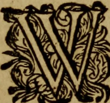 An illustration from Historische beschryvinghe der seer wijt beroemde Coop-stadt Amsterdam : waer inne benevens de eerste beginselen ende opcomsten der stadt, verscheyde privilgien ordonnantien, ende andere ghedenckweerdinghe gheschiedenissen met het ghene de nieuwe vergrootinghen der stadt, als oock de handel ende verre reysen ende de politie betreffende is, tot desen teghenwoordinghen tijt, nae her vervolch der jaeren, verhaelt werdt, 1614, leaf 10