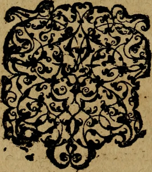 An illustration from Historische beschryvinghe der seer wijt beroemde Coop-stadt Amsterdam : waer inne benevens de eerste beginselen ende opcomsten der stadt, verscheyde privilgien ordonnantien, ende andere ghedenckweerdinghe gheschiedenissen met het ghene de nieuwe vergrootinghen der stadt, als oock de handel ende verre reysen ende de politie betreffende is, tot desen teghenwoordinghen tijt, nae her vervolch der jaeren, verhaelt werdt, 1614, leaf 117