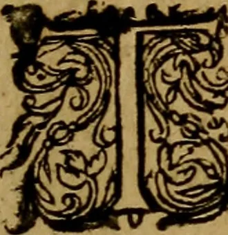 An illustration from Historische beschryvinghe der seer wijt beroemde Coop-stadt Amsterdam : waer inne benevens de eerste beginselen ende opcomsten der stadt, verscheyde privilgien ordonnantien, ende andere ghedenckweerdinghe gheschiedenissen met het ghene de nieuwe vergrootinghen der stadt, als oock de handel ende verre reysen ende de politie betreffende is, tot desen teghenwoordinghen tijt, nae her vervolch der jaeren, verhaelt werdt, 1614, leaf 118