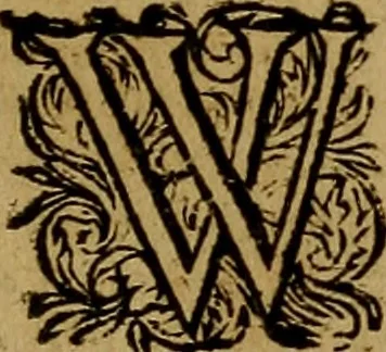 An illustration from Historische beschryvinghe der seer wijt beroemde Coop-stadt Amsterdam : waer inne benevens de eerste beginselen ende opcomsten der stadt, verscheyde privilgien ordonnantien, ende andere ghedenckweerdinghe gheschiedenissen met het ghene de nieuwe vergrootinghen der stadt, als oock de handel ende verre reysen ende de politie betreffende is, tot desen teghenwoordinghen tijt, nae her vervolch der jaeren, verhaelt werdt, 1614, leaf 124