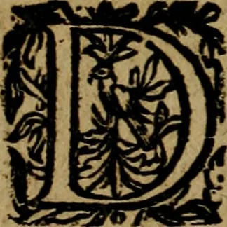 An illustration from Historische beschryvinghe der seer wijt beroemde Coop-stadt Amsterdam : waer inne benevens de eerste beginselen ende opcomsten der stadt, verscheyde privilgien ordonnantien, ende andere ghedenckweerdinghe gheschiedenissen met het ghene de nieuwe vergrootinghen der stadt, als oock de handel ende verre reysen ende de politie betreffende is, tot desen teghenwoordinghen tijt, nae her vervolch der jaeren, verhaelt werdt, 1614, leaf 145