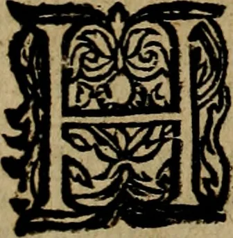 An illustration from Historische beschryvinghe der seer wijt beroemde Coop-stadt Amsterdam : waer inne benevens de eerste beginselen ende opcomsten der stadt, verscheyde privilgien ordonnantien, ende andere ghedenckweerdinghe gheschiedenissen met het ghene de nieuwe vergrootinghen der stadt, als oock de handel ende verre reysen ende de politie betreffende is, tot desen teghenwoordinghen tijt, nae her vervolch der jaeren, verhaelt werdt, 1614, leaf 155