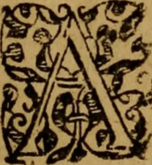 An illustration from Historische beschryvinghe der seer wijt beroemde Coop-stadt Amsterdam : waer inne benevens de eerste beginselen ende opcomsten der stadt, verscheyde privilgien ordonnantien, ende andere ghedenckweerdinghe gheschiedenissen met het ghene de nieuwe vergrootinghen der stadt, als oock de handel ende verre reysen ende de politie betreffende is, tot desen teghenwoordinghen tijt, nae her vervolch der jaeren, verhaelt werdt, 1614, leaf 20