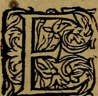 An illustration from Historische beschryvinghe der seer wijt beroemde Coop-stadt Amsterdam : waer inne benevens de eerste beginselen ende opcomsten der stadt, verscheyde privilgien ordonnantien, ende andere ghedenckweerdinghe gheschiedenissen met het ghene de nieuwe vergrootinghen der stadt, als oock de handel ende verre reysen ende de politie betreffende is, tot desen teghenwoordinghen tijt, nae her vervolch der jaeren, verhaelt werdt, 1614, leaf 266