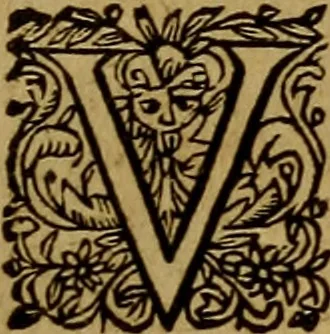An illustration from Historische beschryvinghe der seer wijt beroemde Coop-stadt Amsterdam : waer inne benevens de eerste beginselen ende opcomsten der stadt, verscheyde privilgien ordonnantien, ende andere ghedenckweerdinghe gheschiedenissen met het ghene de nieuwe vergrootinghen der stadt, als oock de handel ende verre reysen ende de politie betreffende is, tot desen teghenwoordinghen tijt, nae her vervolch der jaeren, verhaelt werdt, 1614, leaf 314