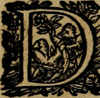 An illustration from Historische beschryvinghe der seer wijt beroemde Coop-stadt Amsterdam : waer inne benevens de eerste beginselen ende opcomsten der stadt, verscheyde privilgien ordonnantien, ende andere ghedenckweerdinghe gheschiedenissen met het ghene de nieuwe vergrootinghen der stadt, als oock de handel ende verre reysen ende de politie betreffende is, tot desen teghenwoordinghen tijt, nae her vervolch der jaeren, verhaelt werdt, 1614, leaf 321