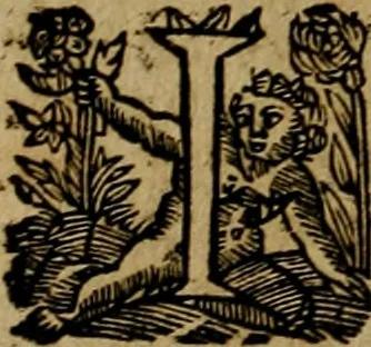 An illustration from Historische beschryvinghe der seer wijt beroemde Coop-stadt Amsterdam : waer inne benevens de eerste beginselen ende opcomsten der stadt, verscheyde privilgien ordonnantien, ende andere ghedenckweerdinghe gheschiedenissen met het ghene de nieuwe vergrootinghen der stadt, als oock de handel ende verre reysen ende de politie betreffende is, tot desen teghenwoordinghen tijt, nae her vervolch der jaeren, verhaelt werdt, 1614, leaf 323