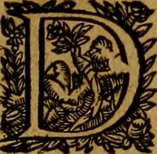 An illustration from Historische beschryvinghe der seer wijt beroemde Coop-stadt Amsterdam : waer inne benevens de eerste beginselen ende opcomsten der stadt, verscheyde privilgien ordonnantien, ende andere ghedenckweerdinghe gheschiedenissen met het ghene de nieuwe vergrootinghen der stadt, als oock de handel ende verre reysen ende de politie betreffende is, tot desen teghenwoordinghen tijt, nae her vervolch der jaeren, verhaelt werdt, 1614, leaf 324