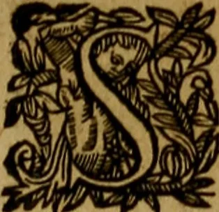 An illustration from Historische beschryvinghe der seer wijt beroemde Coop-stadt Amsterdam : waer inne benevens de eerste beginselen ende opcomsten der stadt, verscheyde privilgien ordonnantien, ende andere ghedenckweerdinghe gheschiedenissen met het ghene de nieuwe vergrootinghen der stadt, als oock de handel ende verre reysen ende de politie betreffende is, tot desen teghenwoordinghen tijt, nae her vervolch der jaeren, verhaelt werdt, 1614, leaf 326
