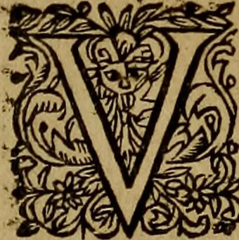 An illustration from Historische beschryvinghe der seer wijt beroemde Coop-stadt Amsterdam : waer inne benevens de eerste beginselen ende opcomsten der stadt, verscheyde privilgien ordonnantien, ende andere ghedenckweerdinghe gheschiedenissen met het ghene de nieuwe vergrootinghen der stadt, als oock de handel ende verre reysen ende de politie betreffende is, tot desen teghenwoordinghen tijt, nae her vervolch der jaeren, verhaelt werdt, 1614, leaf 332