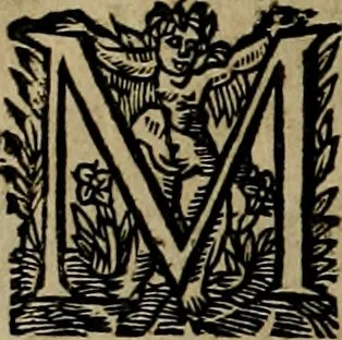 An illustration from Historische beschryvinghe der seer wijt beroemde Coop-stadt Amsterdam : waer inne benevens de eerste beginselen ende opcomsten der stadt, verscheyde privilgien ordonnantien, ende andere ghedenckweerdinghe gheschiedenissen met het ghene de nieuwe vergrootinghen der stadt, als oock de handel ende verre reysen ende de politie betreffende is, tot desen teghenwoordinghen tijt, nae her vervolch der jaeren, verhaelt werdt, 1614, leaf 375