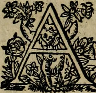 An illustration from Historische beschryvinghe der seer wijt beroemde Coop-stadt Amsterdam : waer inne benevens de eerste beginselen ende opcomsten der stadt, verscheyde privilgien ordonnantien, ende andere ghedenckweerdinghe gheschiedenissen met het ghene de nieuwe vergrootinghen der stadt, als oock de handel ende verre reysen ende de politie betreffende is, tot desen teghenwoordinghen tijt, nae her vervolch der jaeren, verhaelt werdt, 1614, leaf 375