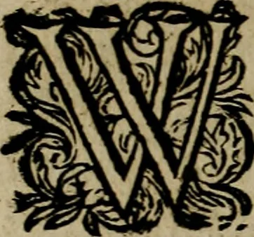 An illustration from Historische beschryvinghe der seer wijt beroemde Coop-stadt Amsterdam : waer inne benevens de eerste beginselen ende opcomsten der stadt, verscheyde privilgien ordonnantien, ende andere ghedenckweerdinghe gheschiedenissen met het ghene de nieuwe vergrootinghen der stadt, als oock de handel ende verre reysen ende de politie betreffende is, tot desen teghenwoordinghen tijt, nae her vervolch der jaeren, verhaelt werdt, 1614, leaf 377