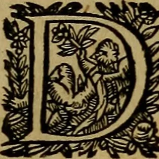 An illustration from Historische beschryvinghe der seer wijt beroemde Coop-stadt Amsterdam : waer inne benevens de eerste beginselen ende opcomsten der stadt, verscheyde privilgien ordonnantien, ende andere ghedenckweerdinghe gheschiedenissen met het ghene de nieuwe vergrootinghen der stadt, als oock de handel ende verre reysen ende de politie betreffende is, tot desen teghenwoordinghen tijt, nae her vervolch der jaeren, verhaelt werdt, 1614, leaf 384