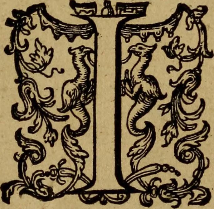 An illustration from Historische beschryvinghe der seer wijt beroemde Coop-stadt Amsterdam : waer inne benevens de eerste beginselen ende opcomsten der stadt, verscheyde privilgien ordonnantien, ende andere ghedenckweerdinghe gheschiedenissen met het ghene de nieuwe vergrootinghen der stadt, als oock de handel ende verre reysen ende de politie betreffende is, tot desen teghenwoordinghen tijt, nae her vervolch der jaeren, verhaelt werdt, 1614, leaf 6